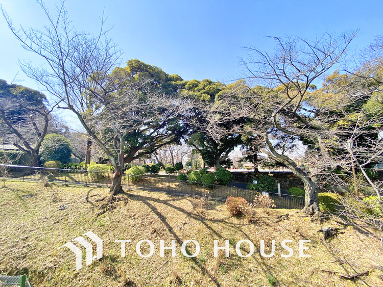 周辺 掃部山公園　距離700m