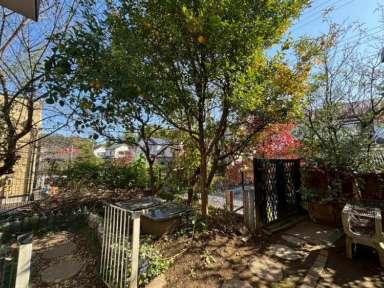 外観 南側に庭があり、ガーデニングも楽しめます。