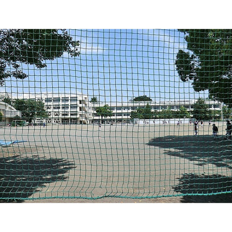 周辺 第六小学校(約830m)