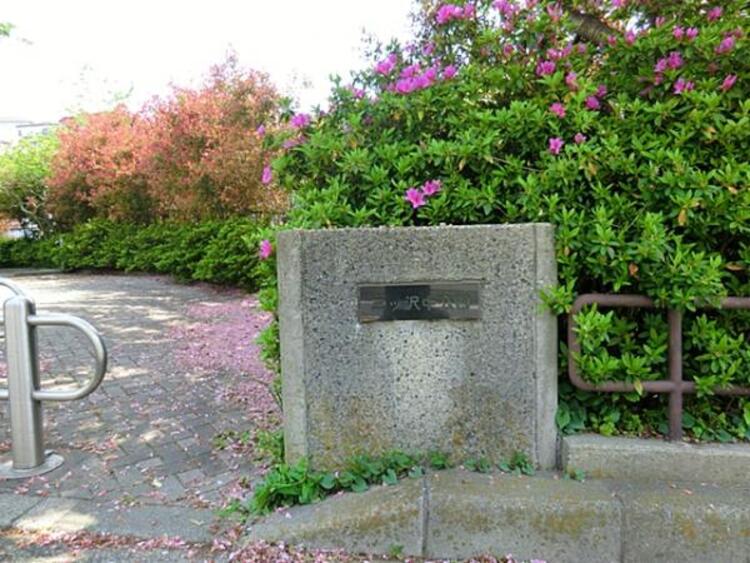 周辺 三ツ沢中公園　550ｍ