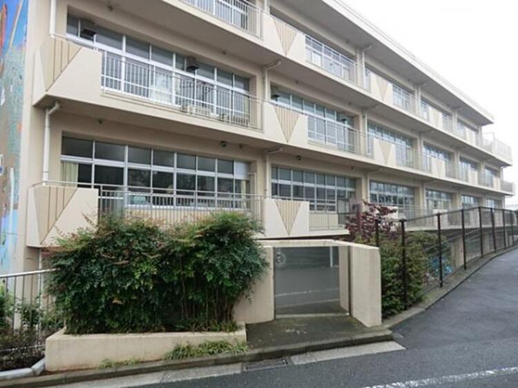 周辺 横浜市立青木小学校　520ｍ