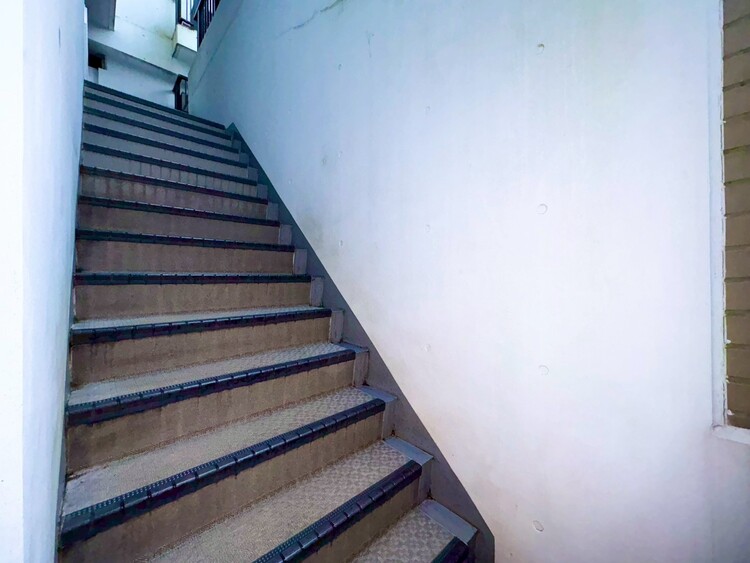 その他 共用部の階段です。明るく清潔に管理されています。