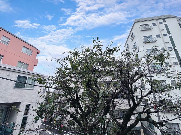 その他 眺望や窓からの景色が良いと、家で過ごす時間も快適です。