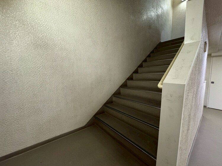 その他 共用部の階段です。明るく清潔に管理されています。