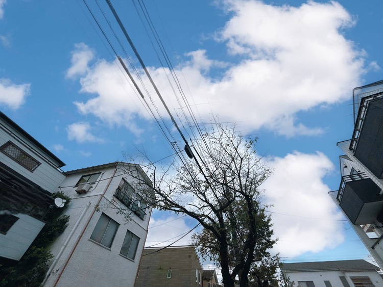 バルコニー 頬をなでる、優しい風を感じることが出来ます。