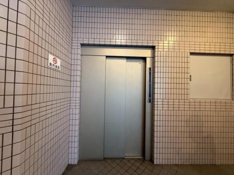 その他 【2025年11月撮影】