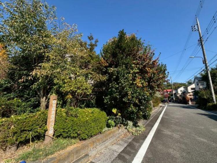 外観 隣地に公園があり開放感があります。