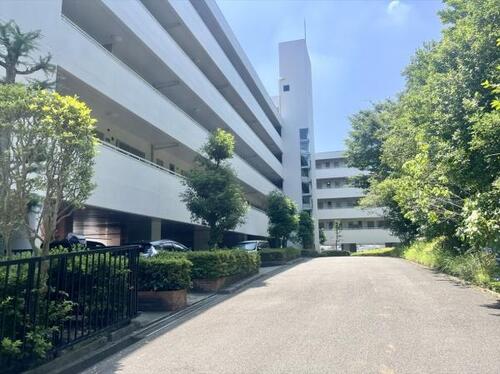 ウインザーハイム宮前平第一の物件画像