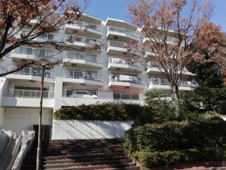 外観 この場所だからこそ叶えられる開放感、陽光を取り入れた住宅です。是非現地でご体感くださいませ。