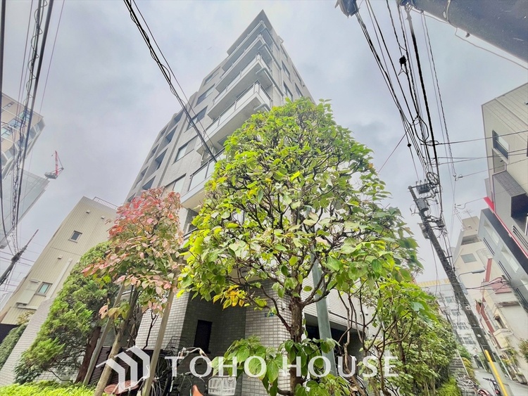 外観 温もりと柔らかな日差し。バルコニーの光を浴びて、移ろう四季に心を委ねる。毎日毎日を充実させてくれる。光のベールに包まれるピースフルデイズ。