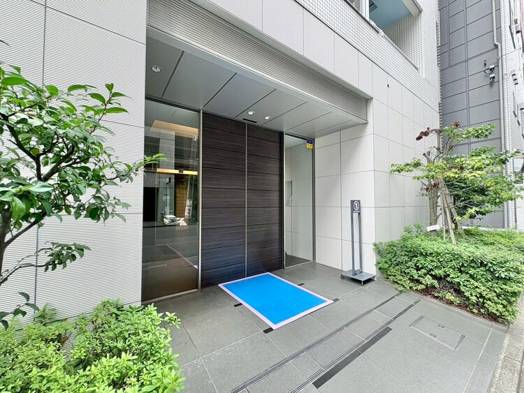 その他 上質感漂う玄関アプローチです。