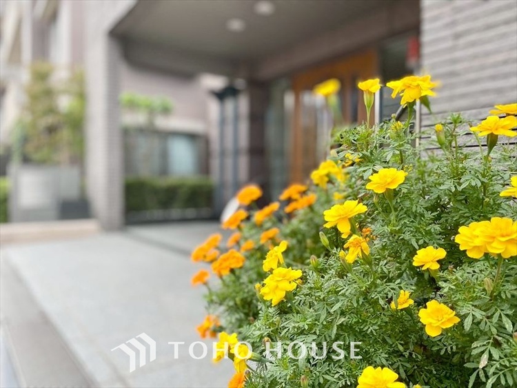 その他 【ENTRANCE】◆そびえ立つ◆我が家のシンボル。遠くの空が赤く染まる夕べが待ち遠しい。