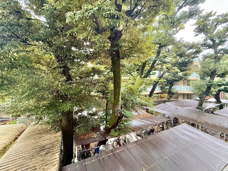 その他 眺望や窓からの景色が良いと、家で過ごす時間も快適です。