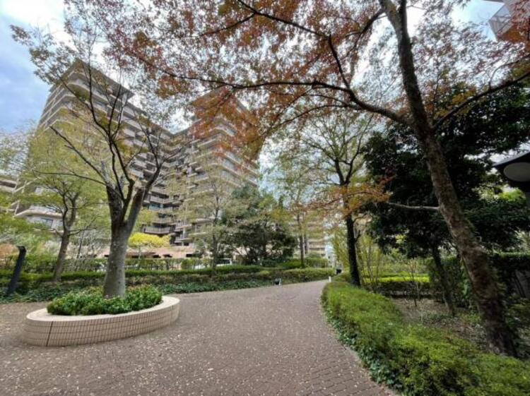 その他 敷地内には1300本を超える樹木が植えられており、四季を感じられる緑豊かなマンションです！