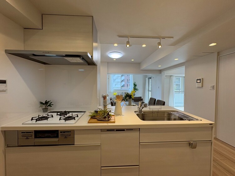 その他 使いやすくスタイリッシュなキッチン空間になっております。