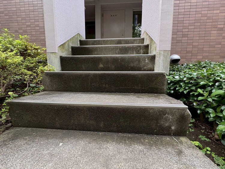 その他 共用部の階段です。明るく清潔に管理されています。