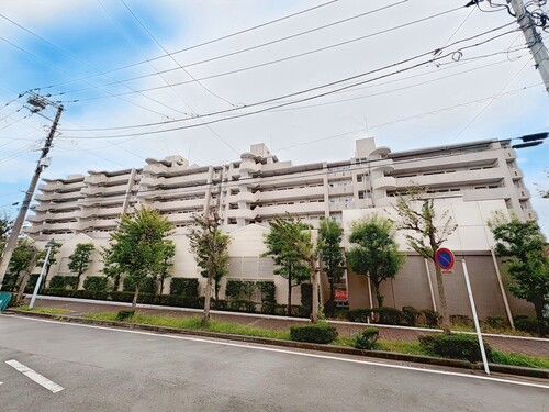 綱島ハイムの物件画像