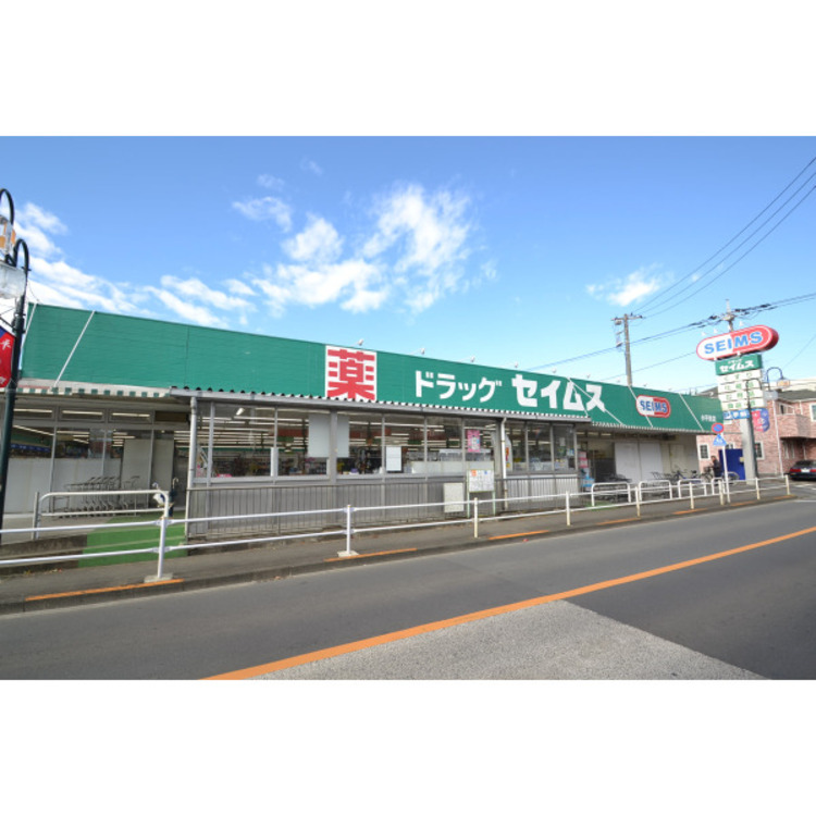 周辺 セイムス(約300m)