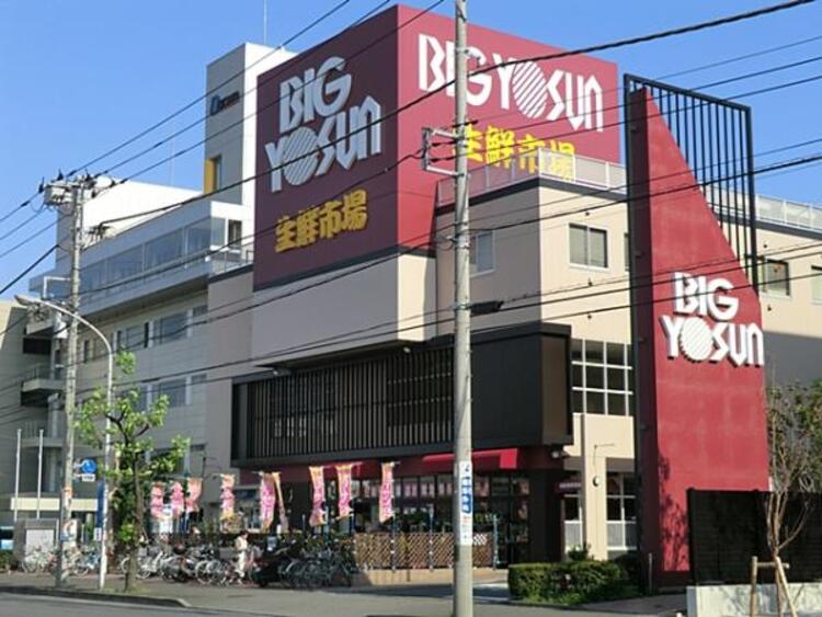 周辺 ビッグヨーサン 綱島樽町店　600ｍ