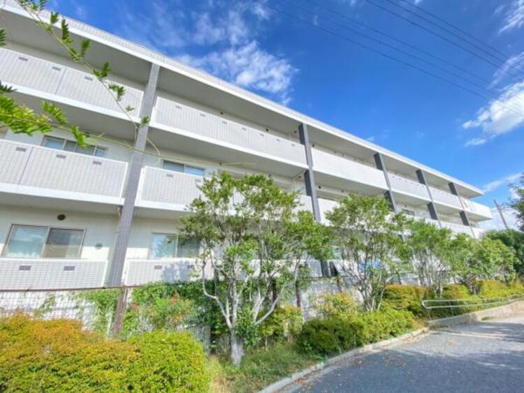 外観 天気の良い空、緑と好相性。そのスマートな佇まいについ足を止めてしまいそうになります。（2025.10.31）