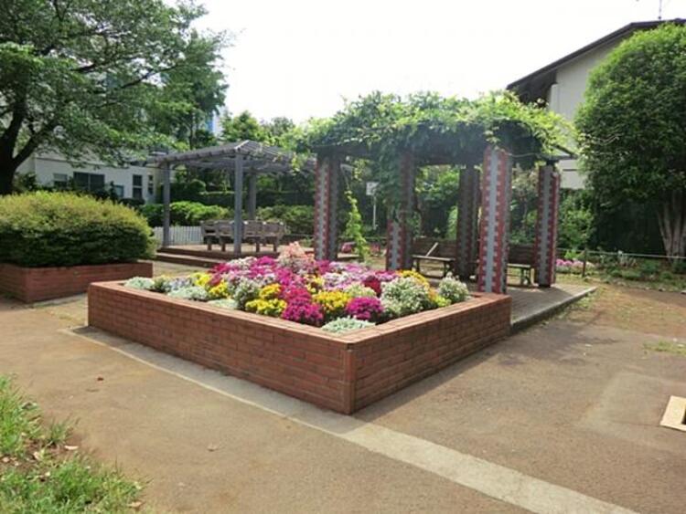 周辺 大倉山公園　230ｍ