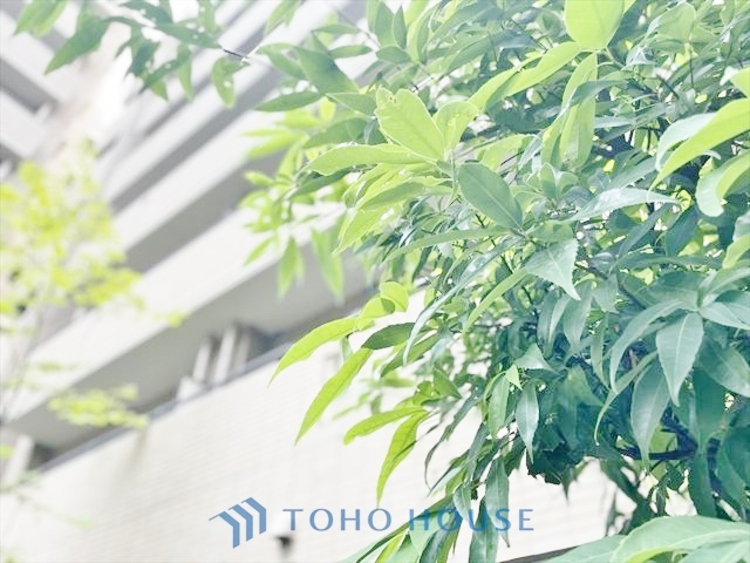 外観 ◆水面に映る◆紅葉を纏った山々を眺め、美しさのあまり感嘆のため息を漏らした事は無いだろうか。いつしか忘れかけていた自然の美しさと力強さを思い出させてくれる、そんな景色がここにもある。