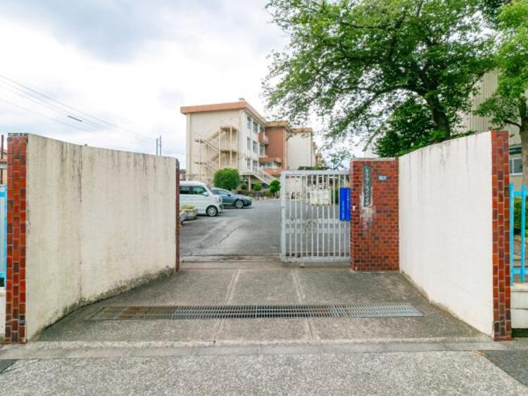 周辺 八王子市立清水小学校迄480ｍ