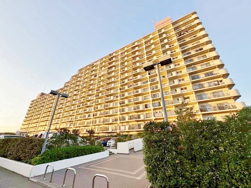 南篠崎スカイハイツＢ棟の物件画像