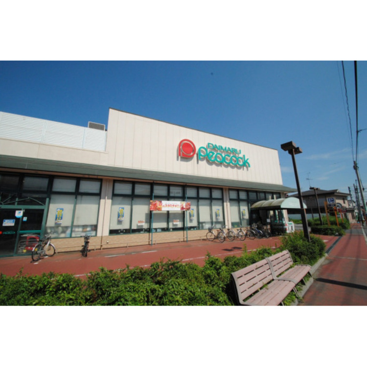 周辺 ピーコック(約100m)