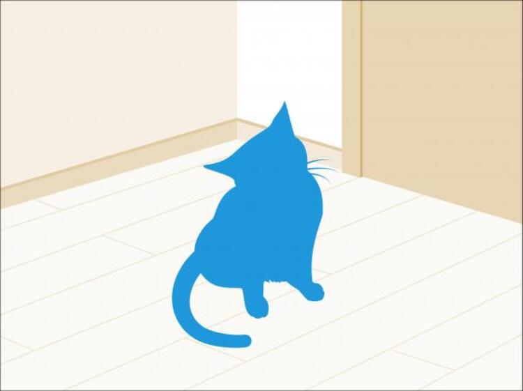 設備 ペット３匹飼育可　大切な家族の一員であるペットとの、楽しい暮らしが始まります。なお飼育できるペットは種類、大きさ、頭数等に制限があります。詳細は管理規約等の定めによります。