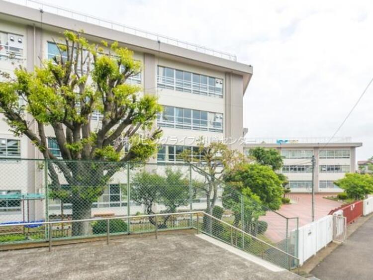 周辺 川崎市立長尾小学校  650m