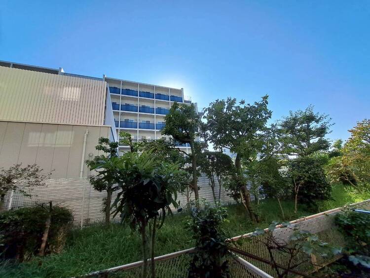 その他 陽当たり・通風・開放感に恵まれた環境です。