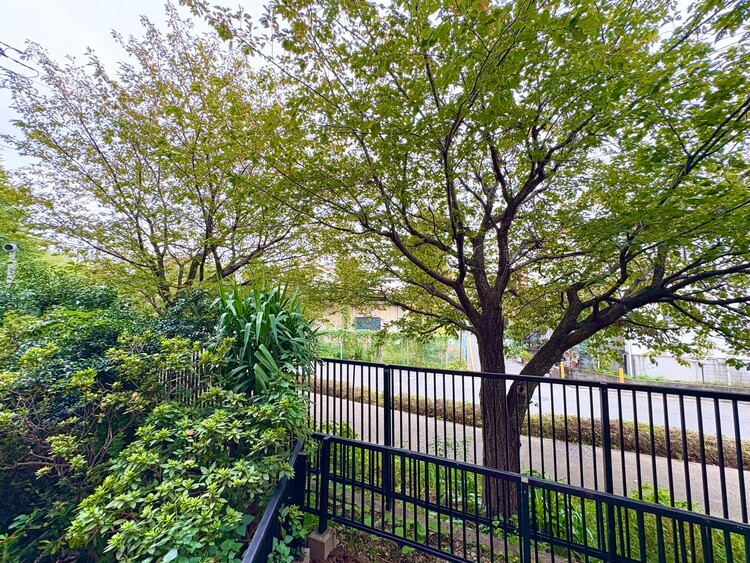 その他 陽当たり・通風・開放感に恵まれた環境です。