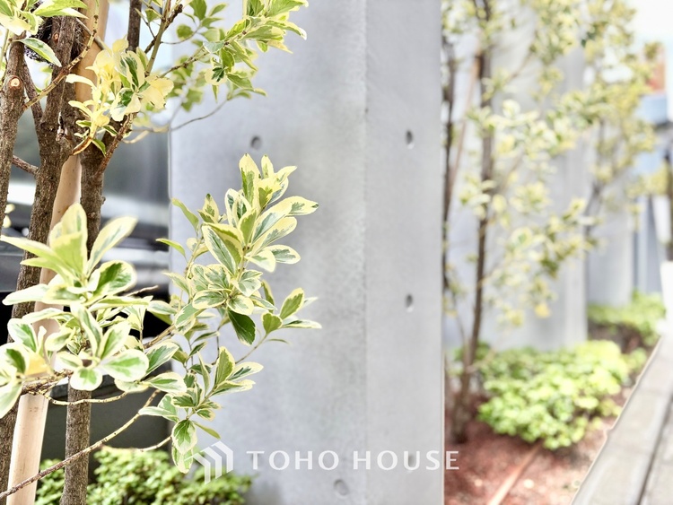 キッチン ◆愛育◆キッチンは家族の絆を育む大切な空間。シンプルで使い易いSystemKitchenで愉しく作る料理は愛情のある美味しいご馳走に。家族で使える広々としたダイニングキッチンです。