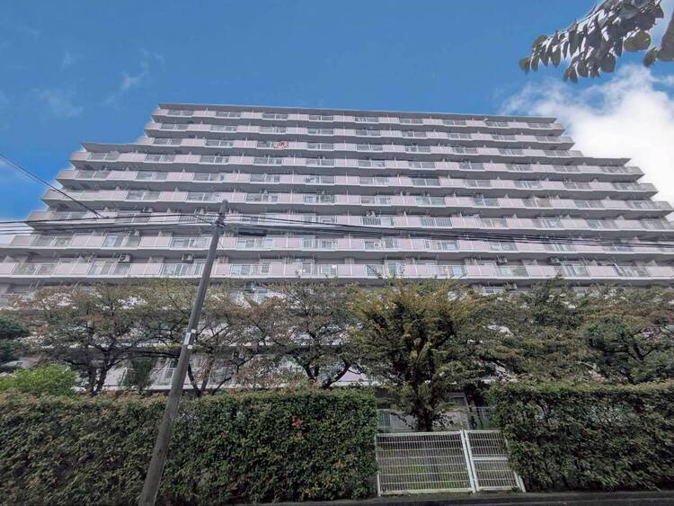 外観 資料には掲載していない情報が、現地にはたくさんあります。是非一度、現地をご確認ください。