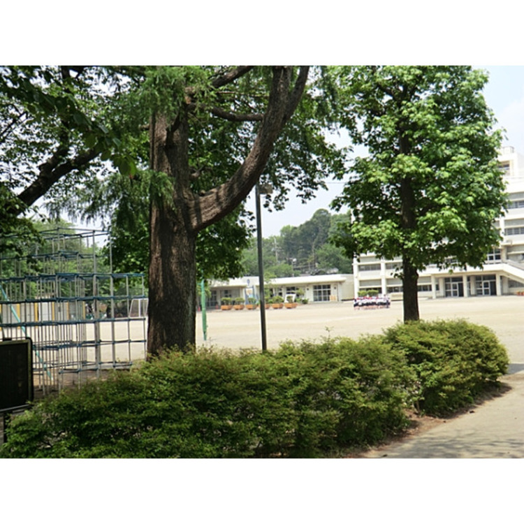 周辺 第三小学校(約350m)