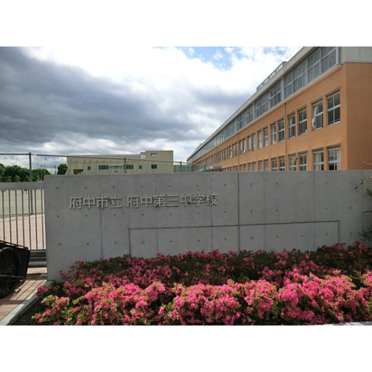 周辺 第三中学校(約750m)