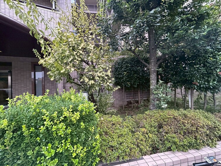 その他 マンションの敷地内には、中庭もございます。