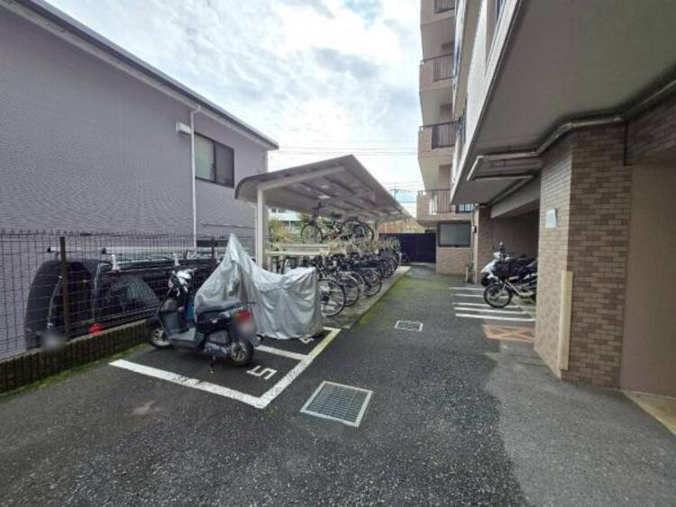 その他 【2025年11月撮影】