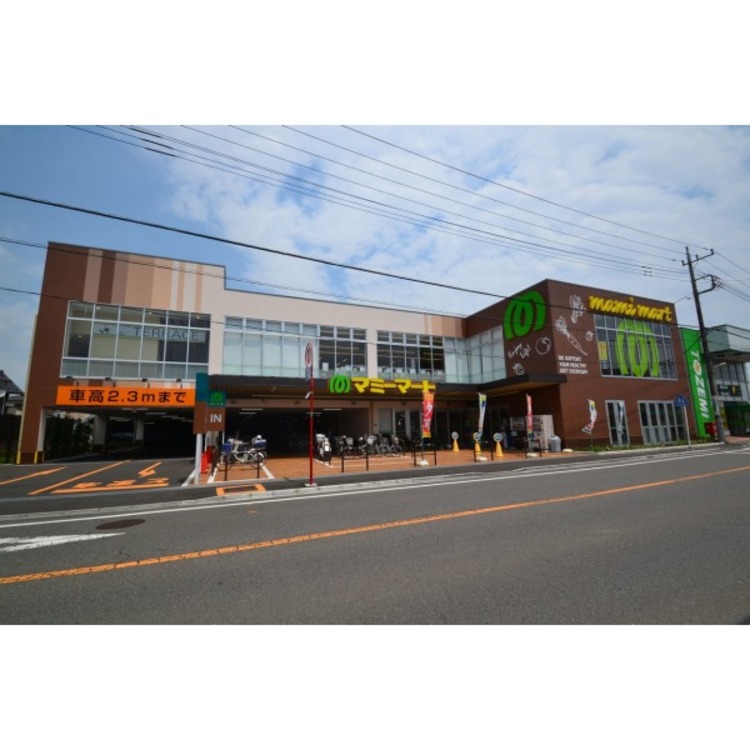 周辺 マミーマート(約1000m)