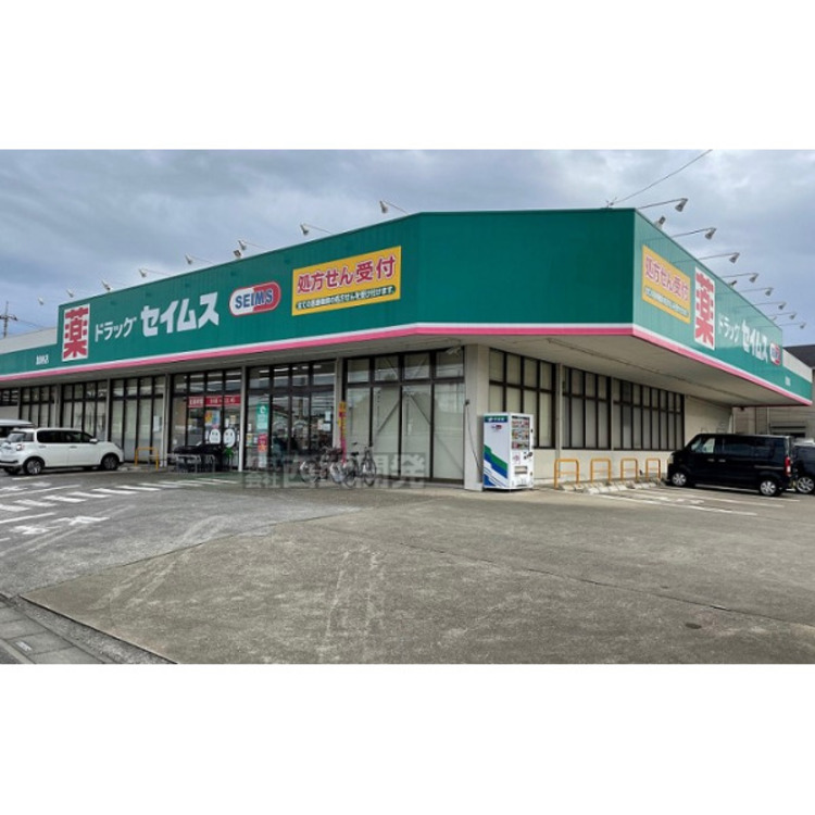 周辺 セイムス(約500m)