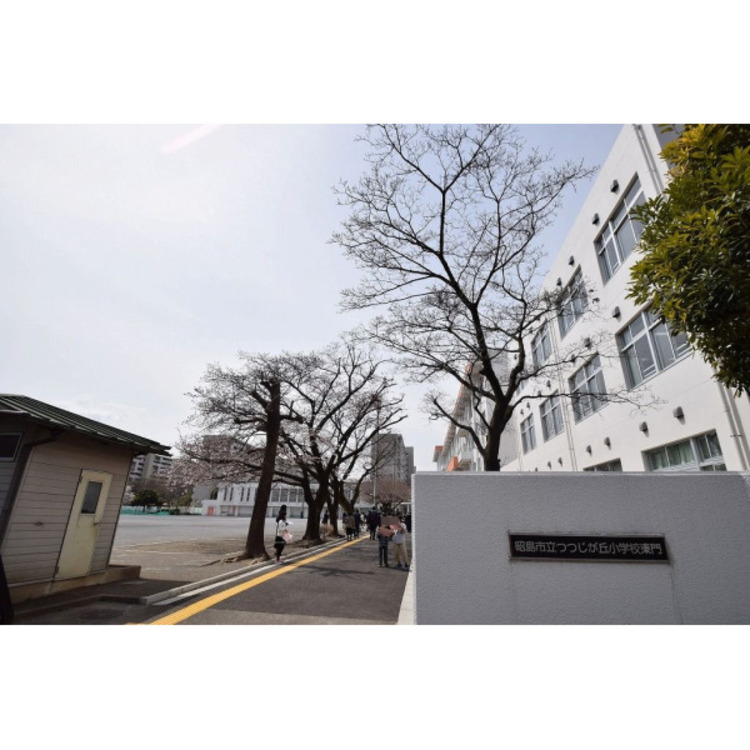 周辺 つつじが丘小学校(約350m)