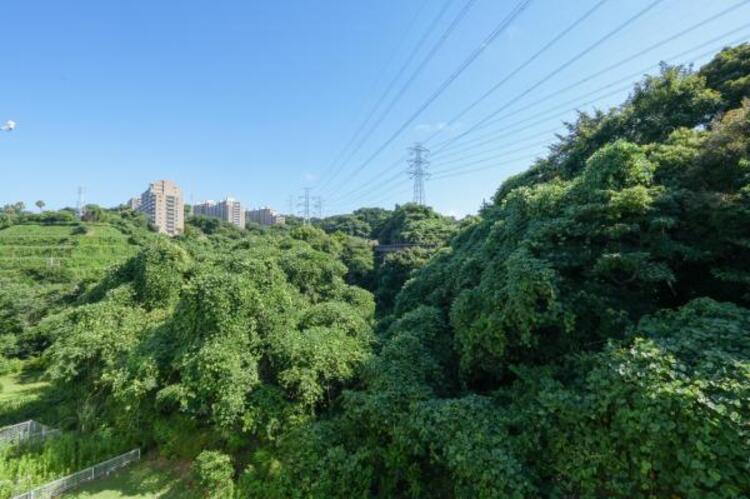 その他 ホッと一息つきたいときに望むこの眺望。リラックスできる空間になりますね！