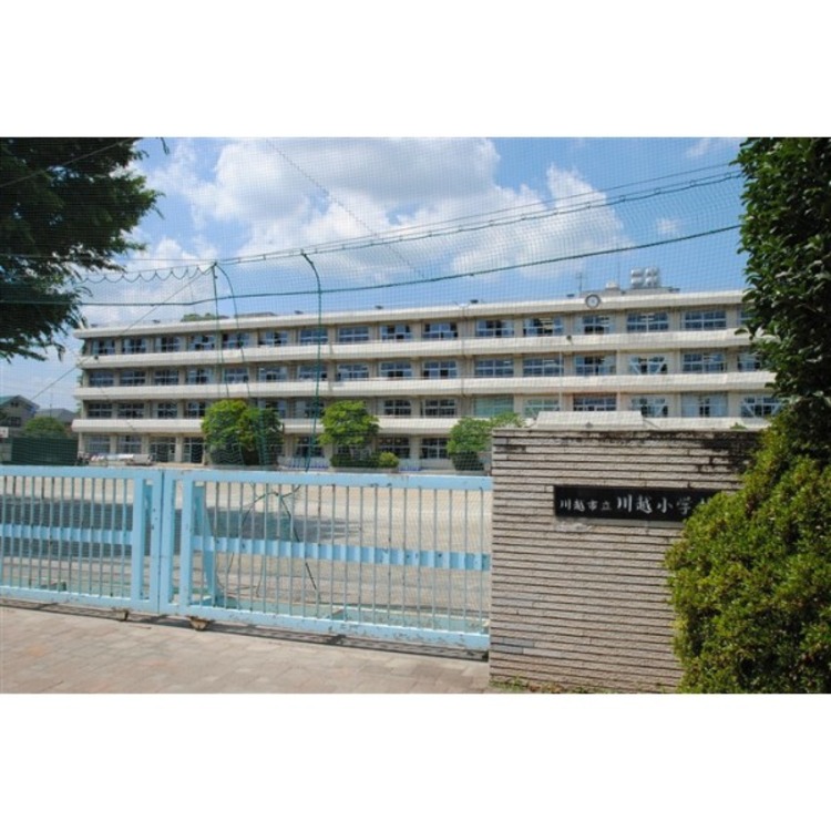 周辺 川越小学校(約980m)