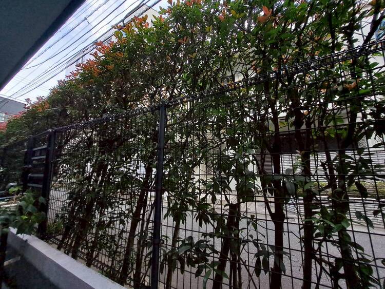 その他 陽当たり・通風・開放感に恵まれた環境です。