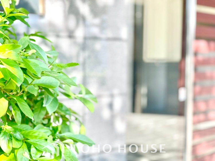 外観 【APPEARANCE】◆眩い◆光が燦々と入り、家族の笑顔を照らす。「いつまでも続いて」と願う夢のような毎日がここにある。