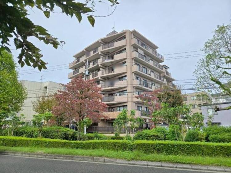 外観 【2025年11月撮影】