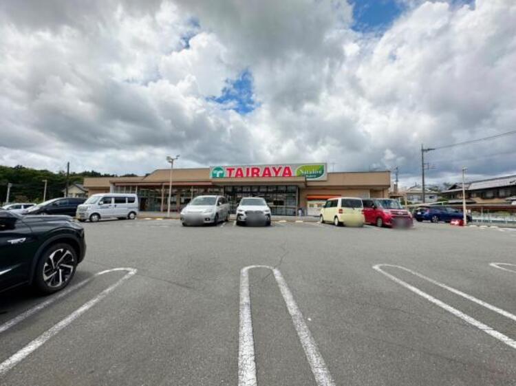 周辺 エコス TAIRAYA(タイラヤ)元八王子店迄1010ｍ