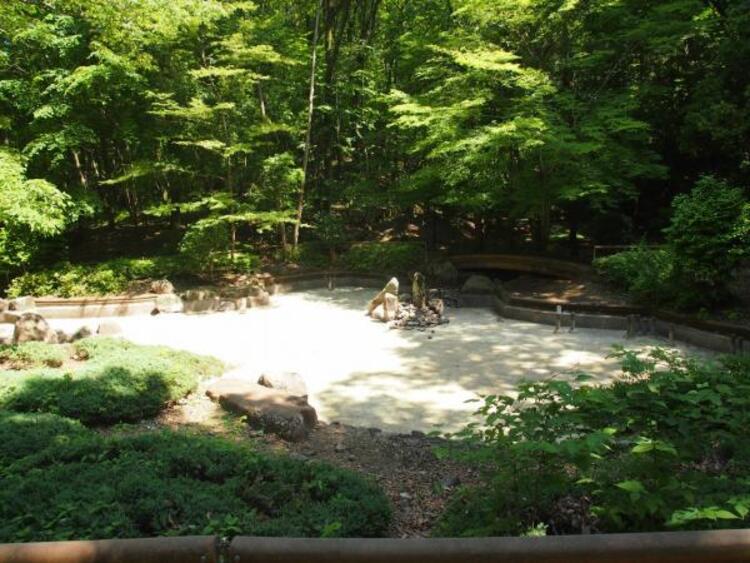 周辺 裏宿さくら公園迄580ｍ