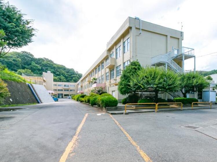 周辺 八王子市立城山小学校迄450ｍ